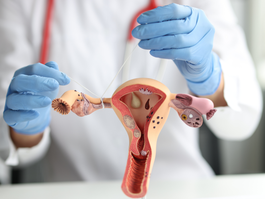 Reserva ovárica: ¿Cuántos óvulos me quedan?