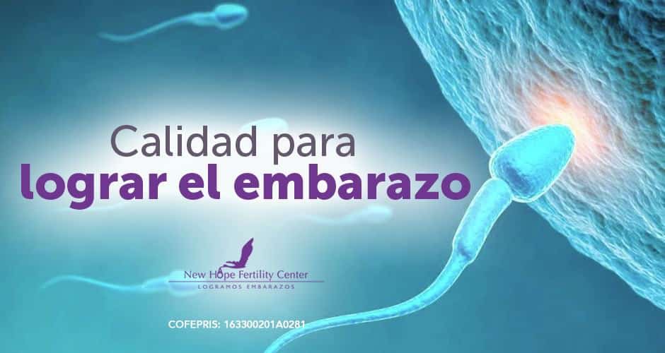 De qué depende la calidad del semen