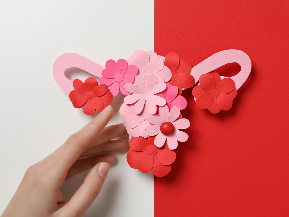 ¿Qué es la reserva ovárica y qué significa?