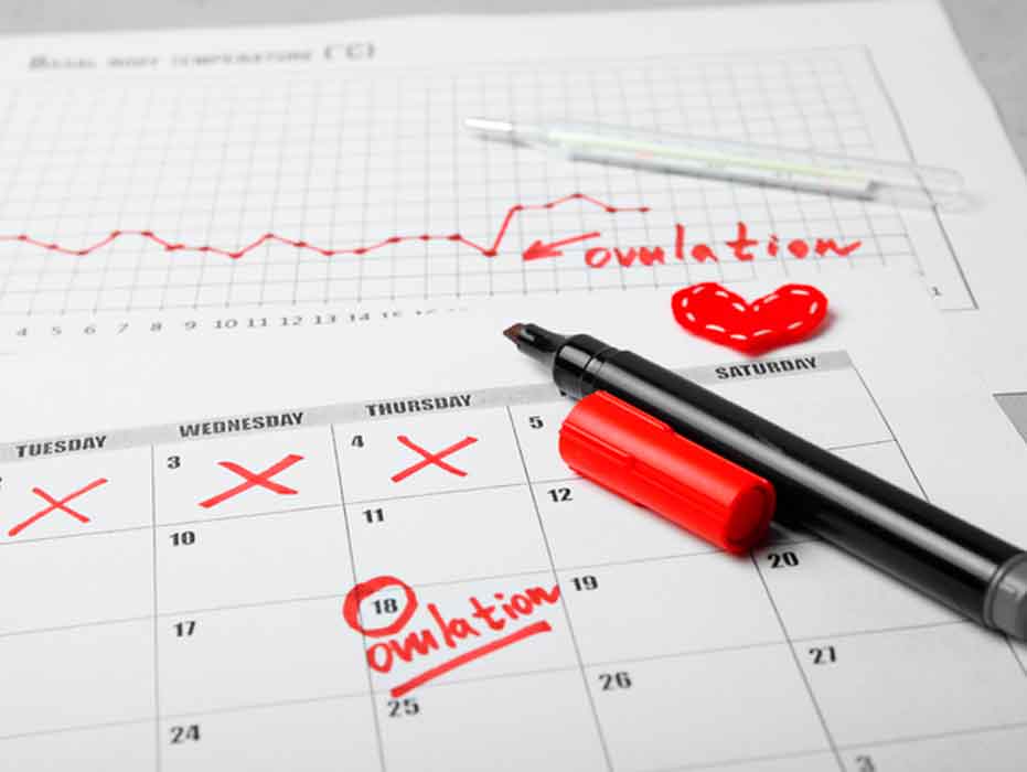 6 señales de que eres una mujer fértil
